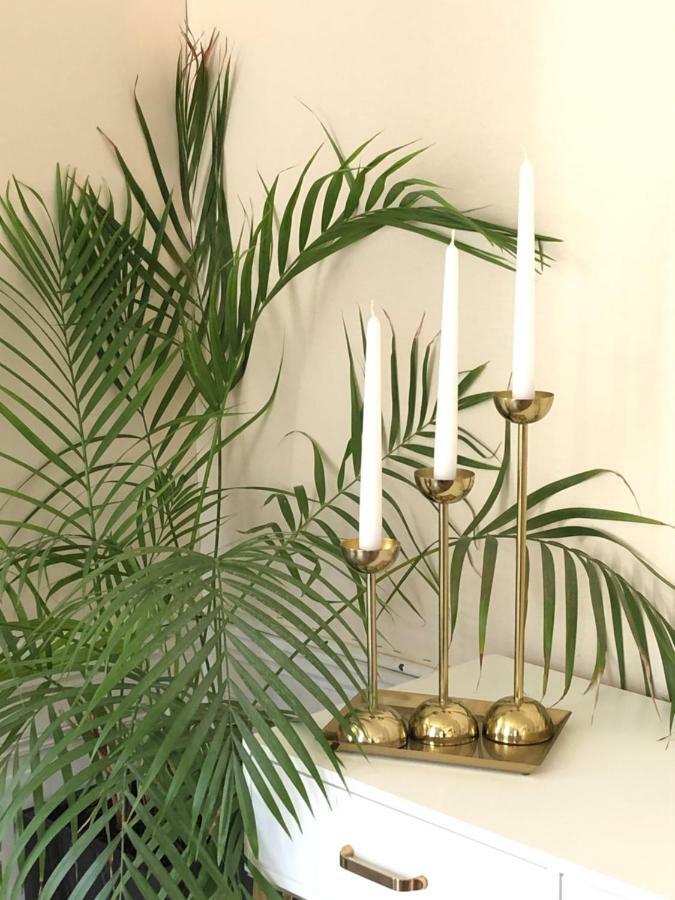 Le Coeur De La Bastide - Adult Only Bed and Breakfast Καρκασόν Εξωτερικό φωτογραφία